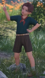 Tori
