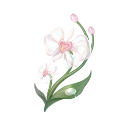 Rainy Orchid
