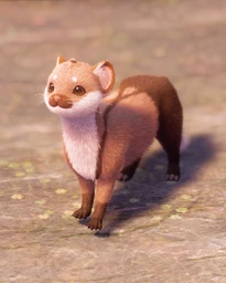 Suspenders Weasel