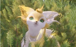 Meet the Golden Fluff
