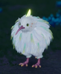 Nela Bird